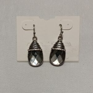 Elegant Silver Drop Earrings